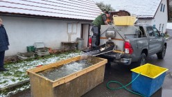 Prodej vánočních kaprů