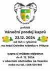 Prodej vánočních kaprů
