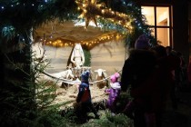Rozsvícení vánočního stromku a betlému